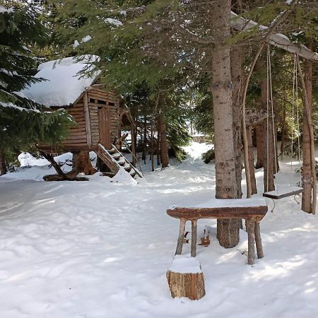 "Моето Любимо Място", Смолянски Езера - "My Favorite Place", Smolyan Lakes Buitenkant foto
