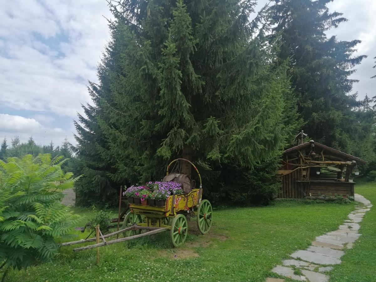 "Моето Любимо Място", Смолянски Езера - "My Favorite Place", Smolyan Lakes Buitenkant foto