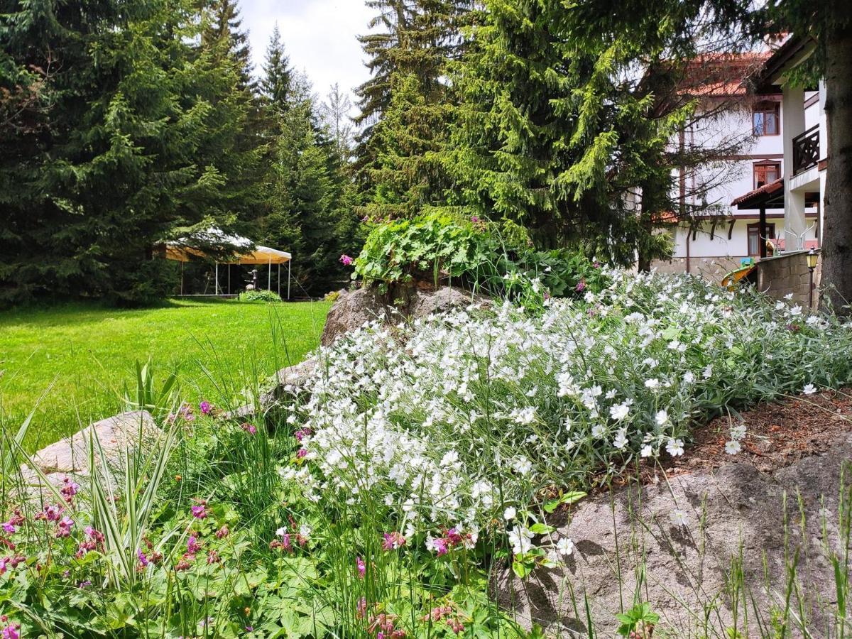 "Моето Любимо Място", Смолянски Езера - "My Favorite Place", Smolyan Lakes Buitenkant foto