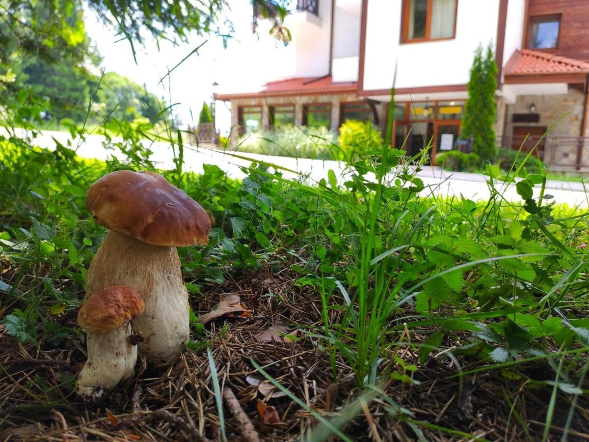 "Моето Любимо Място", Смолянски Езера - "My Favorite Place", Smolyan Lakes Buitenkant foto