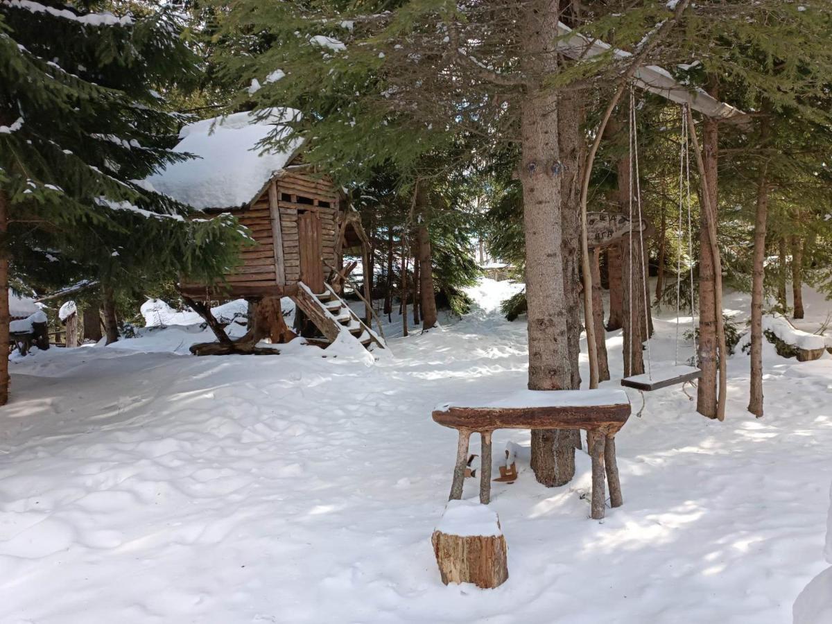 "Моето Любимо Място", Смолянски Езера - "My Favorite Place", Smolyan Lakes Buitenkant foto